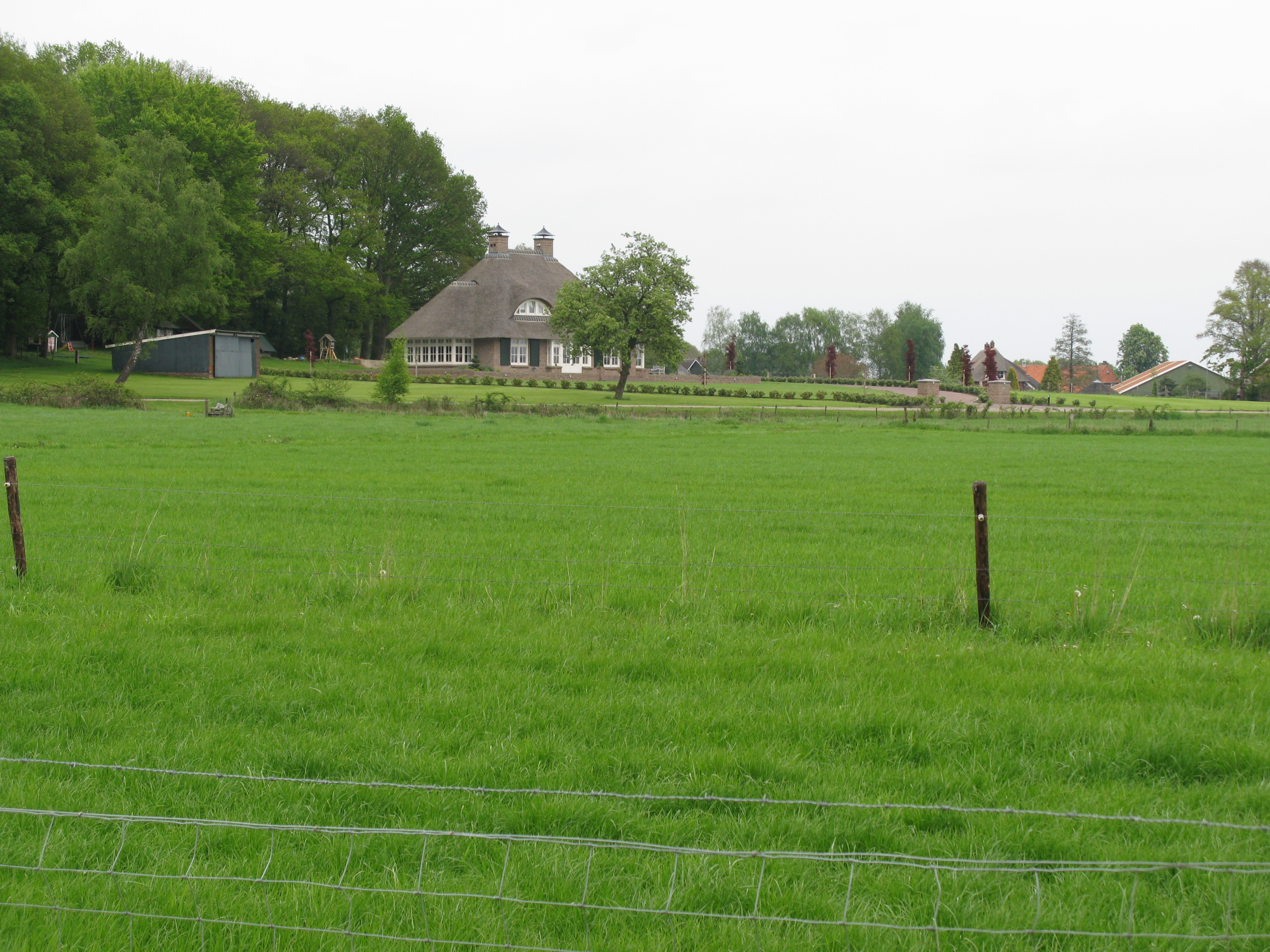 HWK2010 110.jpg